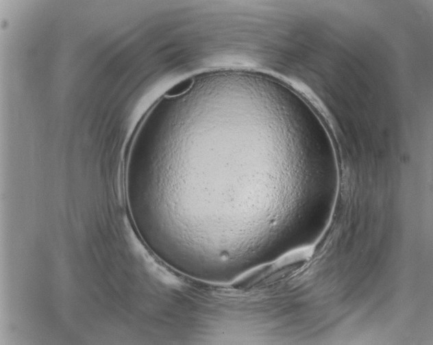 X0000063481295200601231337