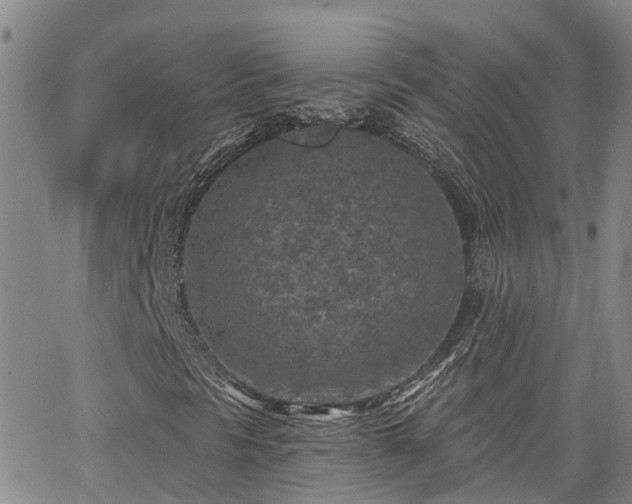 X0000063481297200601231336