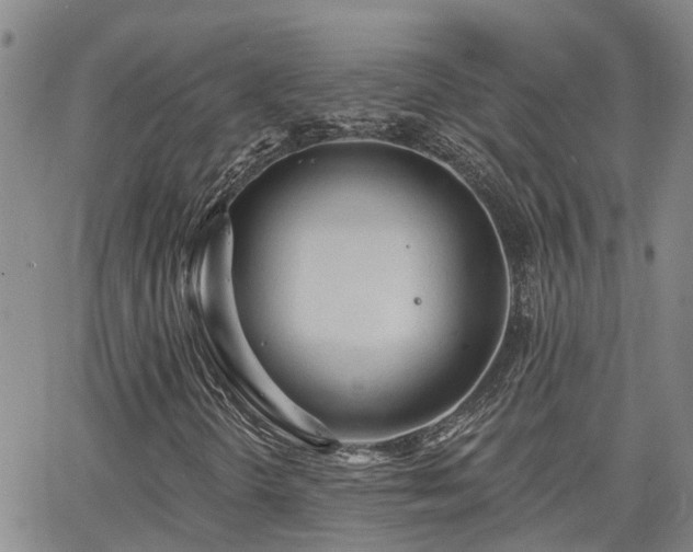 X0000063481298200601231336