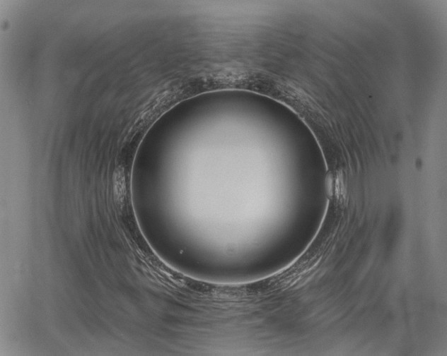 X0000063481299200601231336