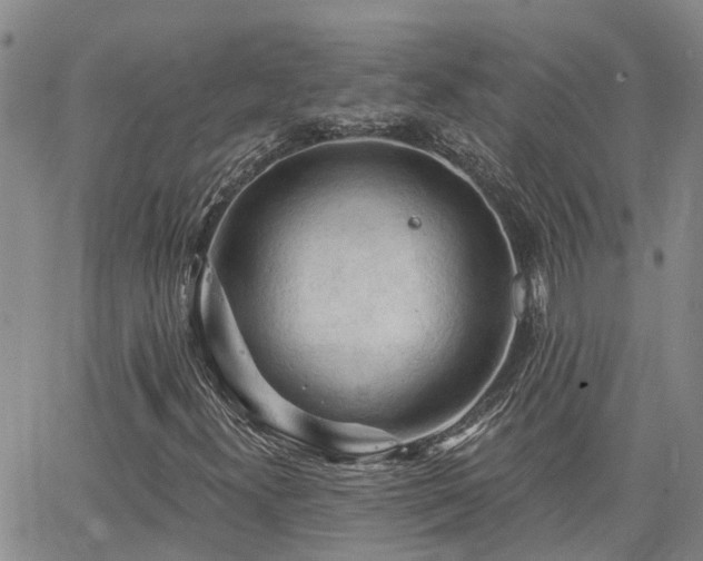 X0000063481300200601231336