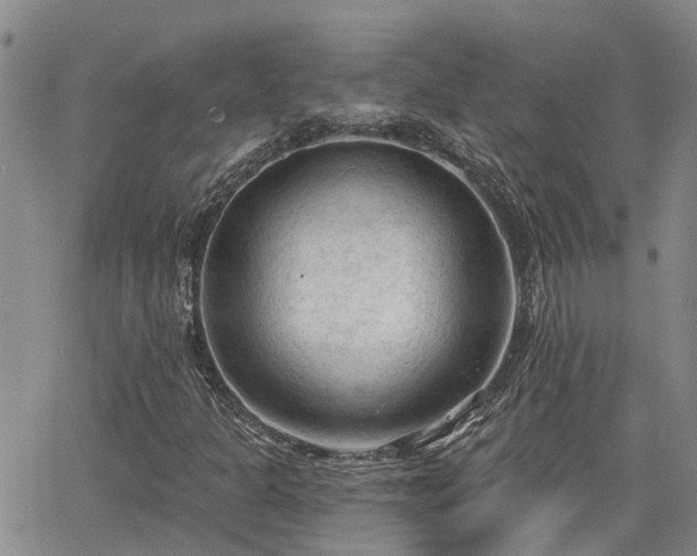 X0000063481301200601231337