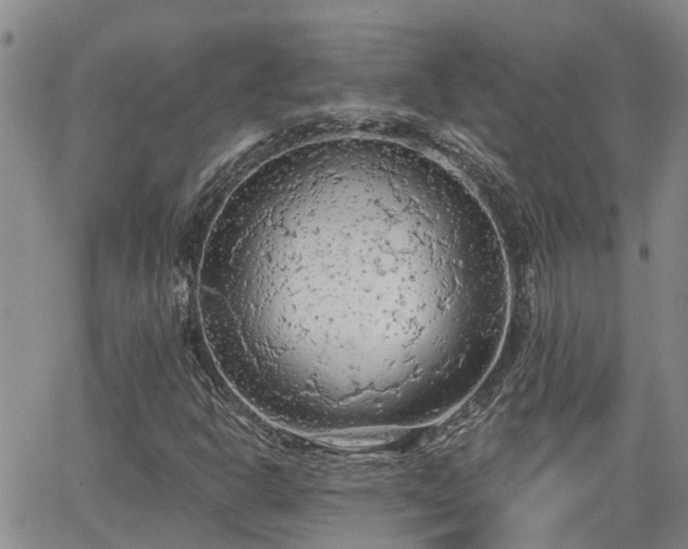 X0000063481302200601231337