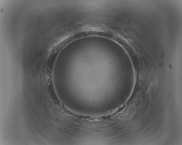 X0000063481303200601231337