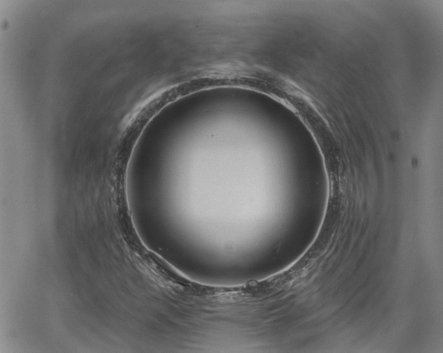 X0000063481304200601231337