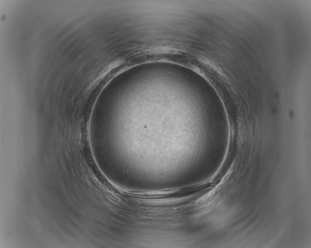 X0000063481305200601231337