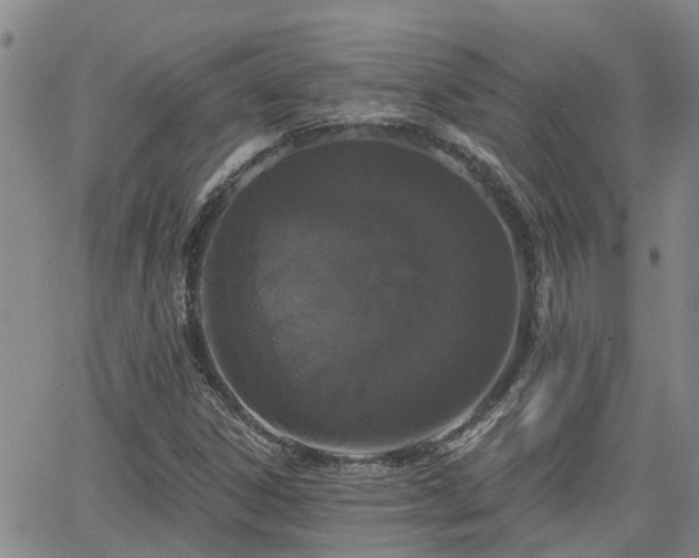 X0000063481306200601231337