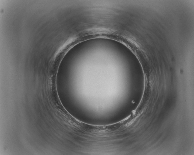 X0000063481309200601231337