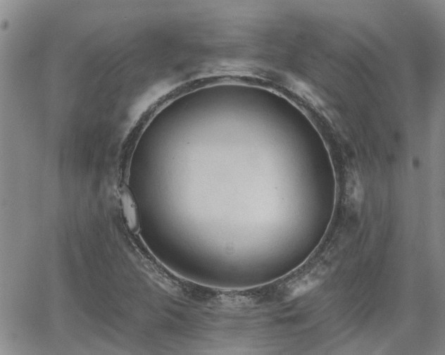 X0000063481312200601231337