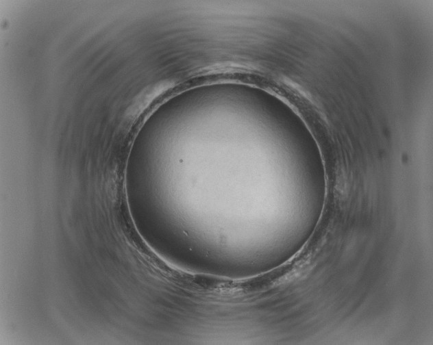 X0000063481313200601231337