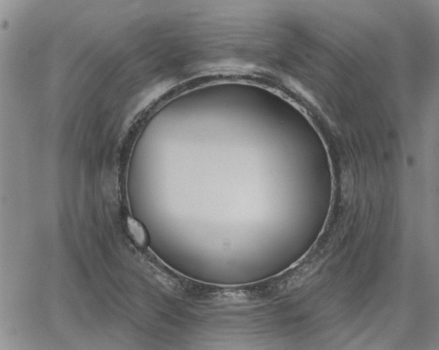 X0000063481315200601231337