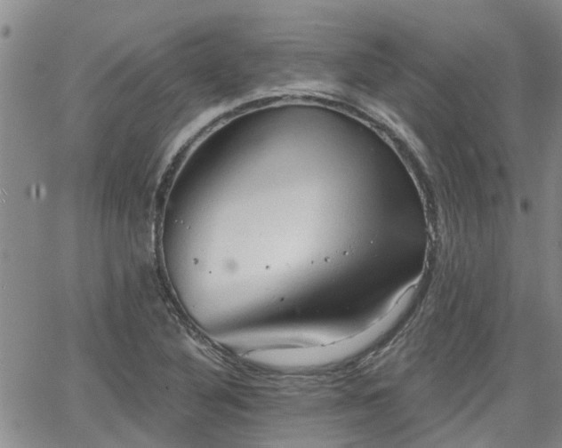 X0000063481316200601231337