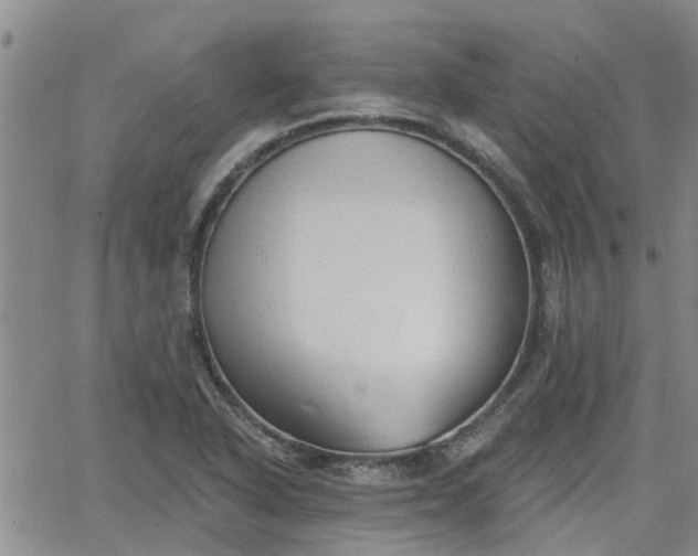 X0000063481318200601231337