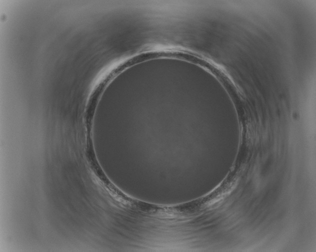 X0000063481319200601231337