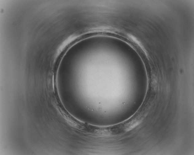 X0000063481320200601231337