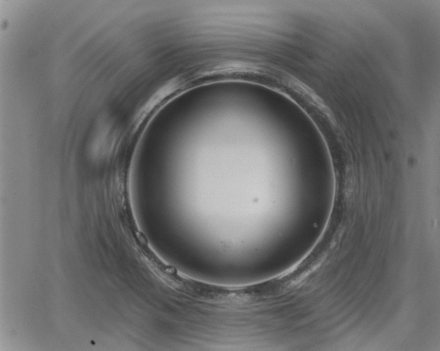 X0000063481321200601231337