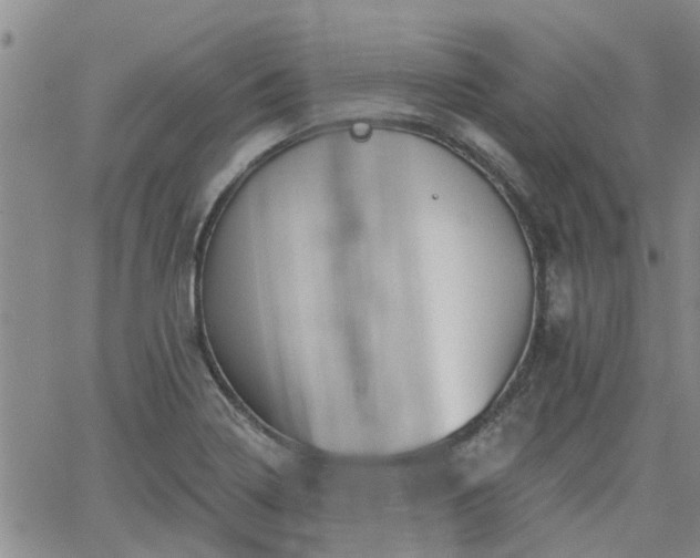 X0000063481322200601231337