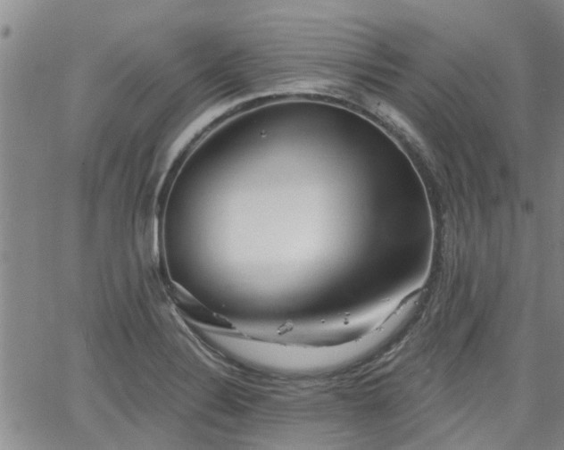 X0000063481324200601231337