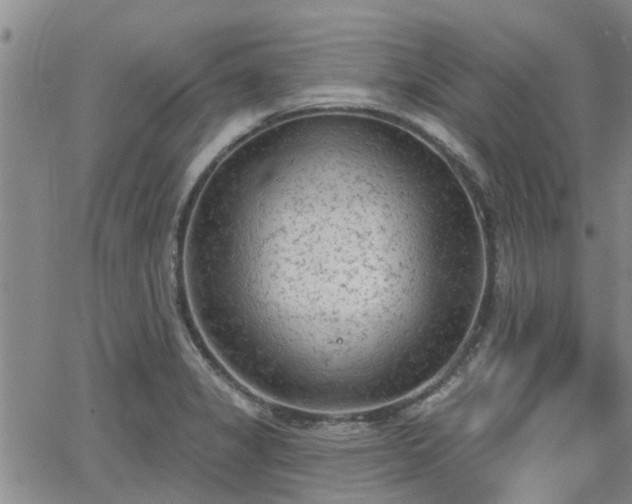 X0000063481325200601231337