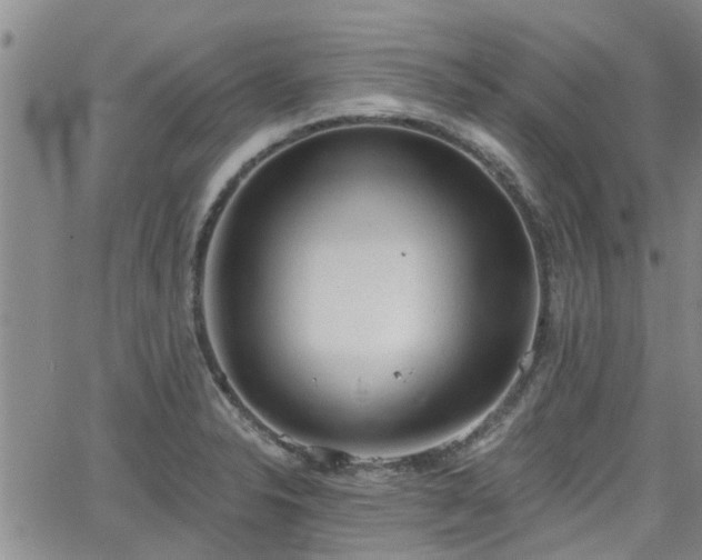 X0000063481326200601231337