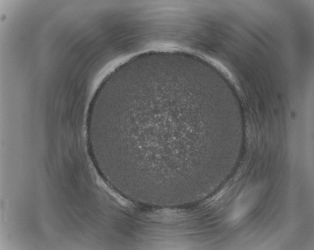 X0000063481327200601231337