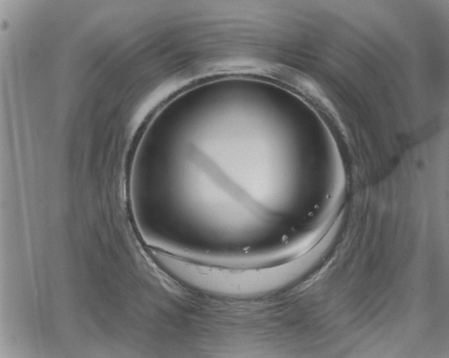 X0000063481328200601231337