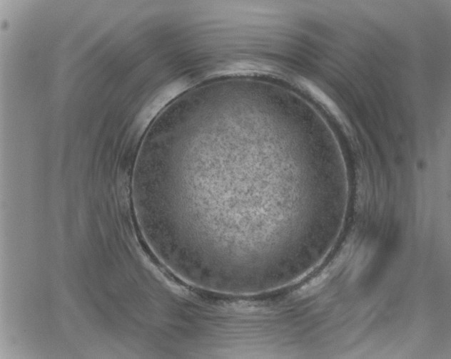 X0000063481329200601231337