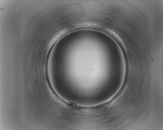 X0000063481330200601231337