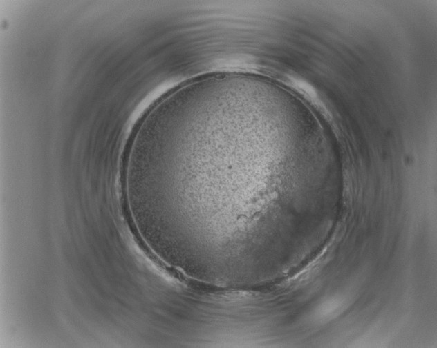 X0000063481331200601231337