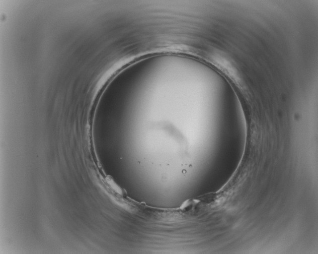 X0000063481332200601231337