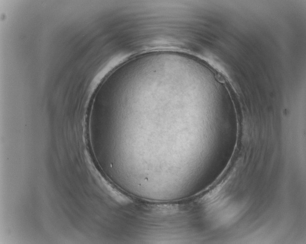 X0000063481333200601231337