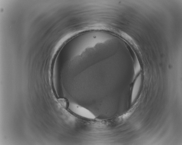 X0000063481334200601231337