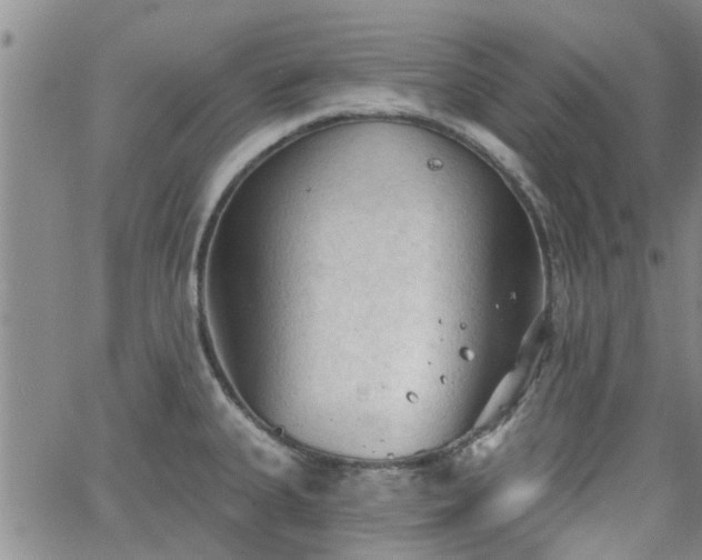 X0000063481335200601231337