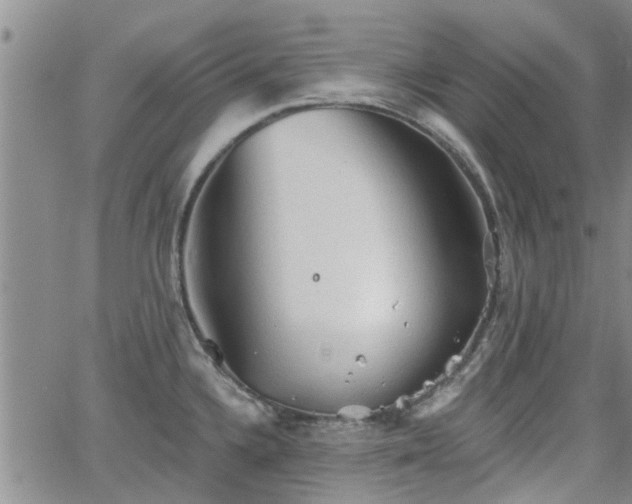 X0000063481336200601231337