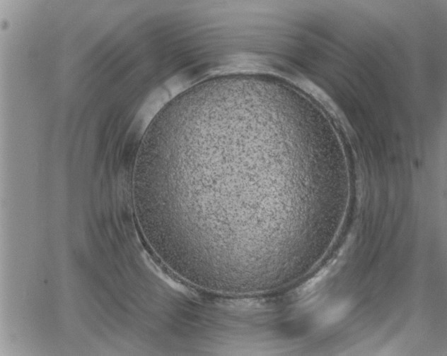 X0000063481337200601231337