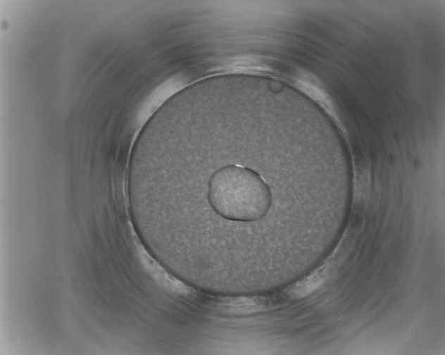 X0000063481338200601231337