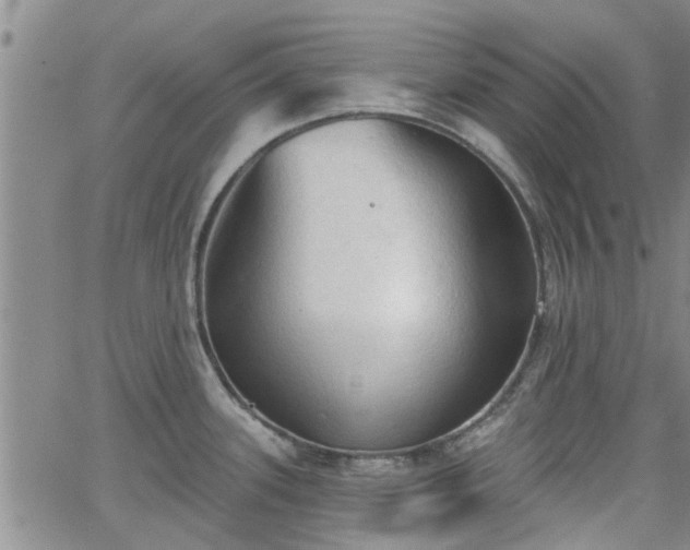 X0000063481339200601231337