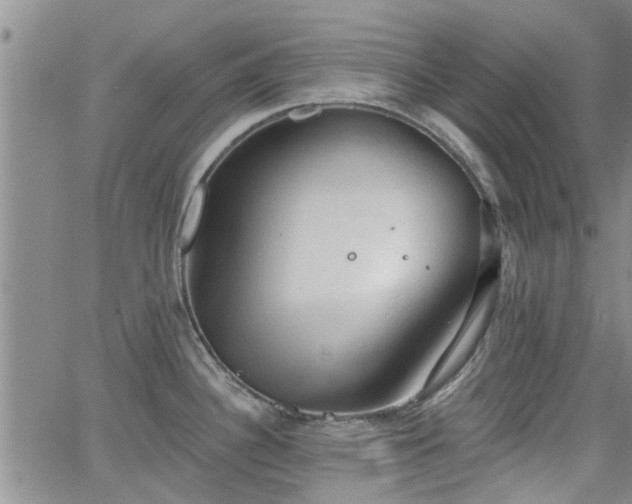 X0000063481340200601231337