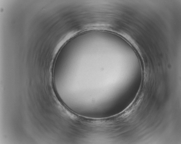 X0000063481341200601231337