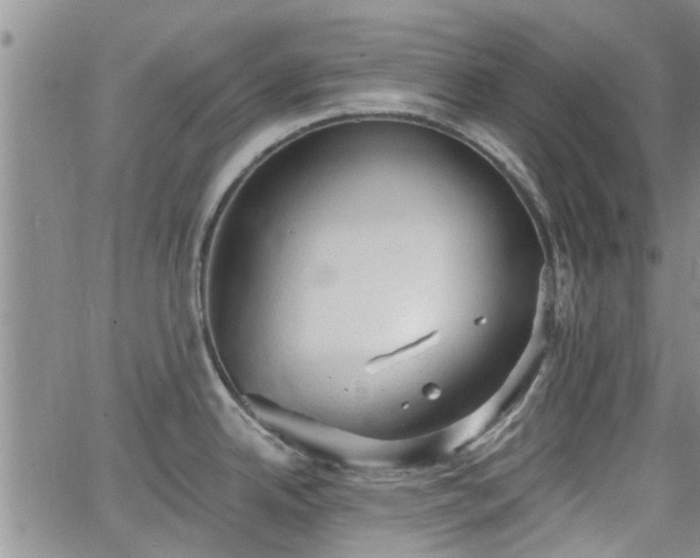 X0000063481342200601231337