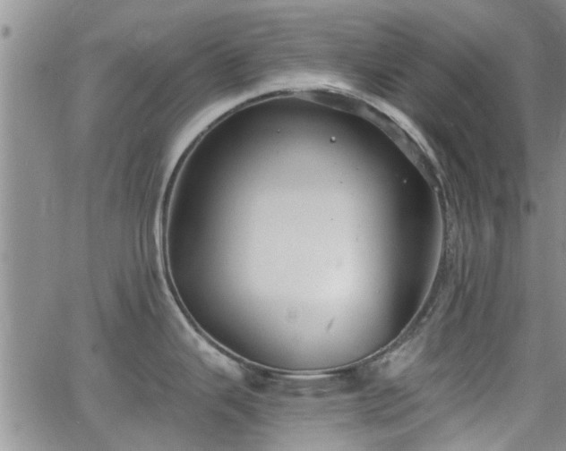 X0000063481343200601231337