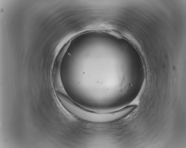 X0000063481344200601231337