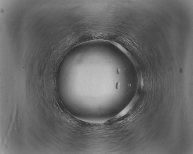 X0000063481345200601231336