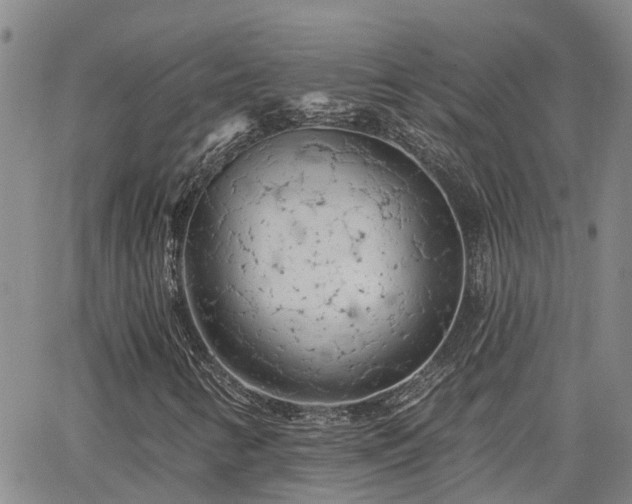 X0000063481346200601231336