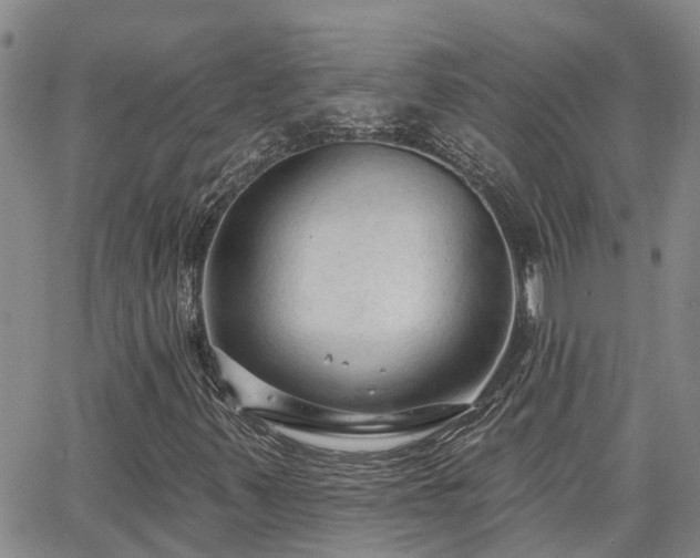 X0000063481347200601231336