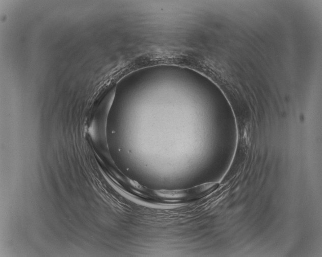 X0000063481348200601231336