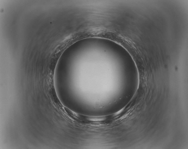 X0000063481349200601231336