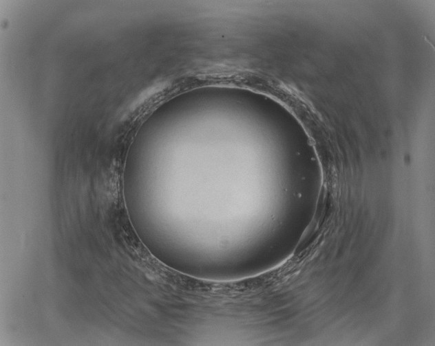 X0000063481350200601231336