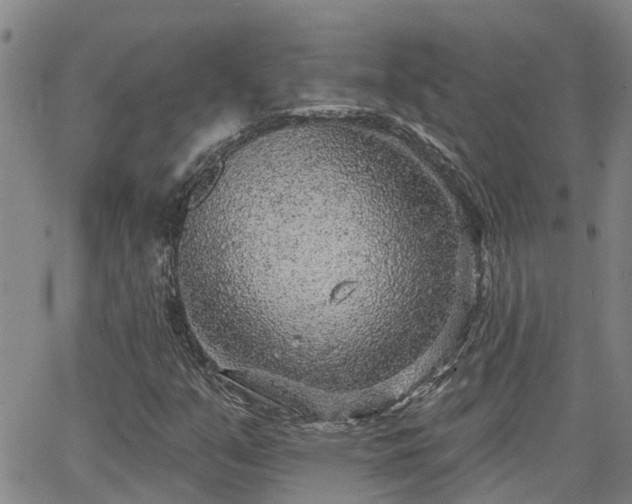 X0000063481351200601231336