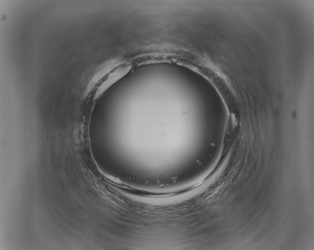 X0000063481352200601231336